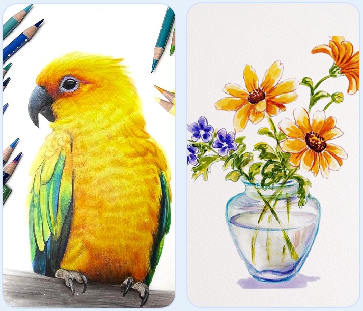 Art Supplies Drawing Sketch  Colored Soft Core Color Pencil